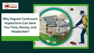 Read more about the article Why Regular Cockroach Inspections Can Save You Time, Money, and Headaches?