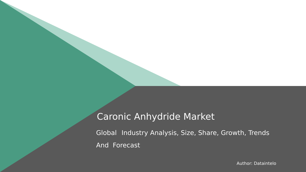 Read more about the article Caronic Anhydride Industry Outlook | Market Size, Share, and Forecast 2032