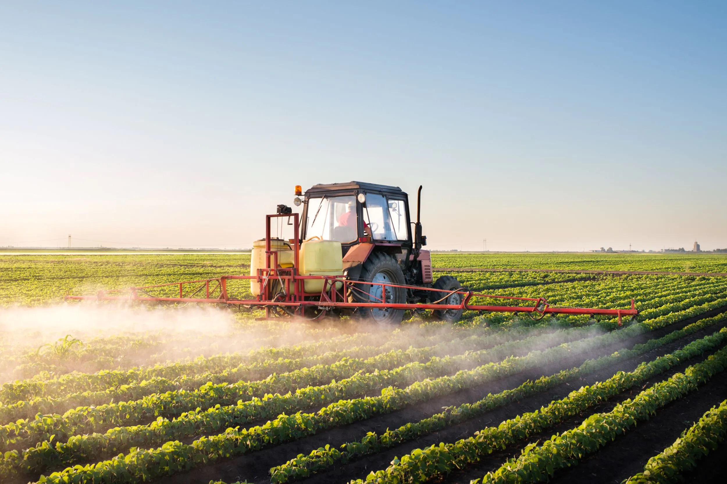 You are currently viewing Crop Protection Market Growth, Share, Trends, Scope, Major Players, Revenue, Opportunity and Future Outlook 2024-2032: Organic Market Research