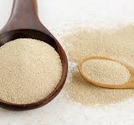 Read more about the article Global Yeast Market Size Forecast Report 2024-2030