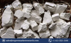 Read more about the article Kaolin Market Size, Share, Trends and Industry Analysis | 2032