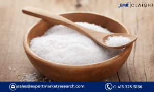 Read more about the article North America Salt Market Forecast 2024-2032: Trends, Growth Drivers, and Key Players