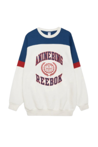 Read more about the article The Allure of the Anine Bing Sweatshirt: A Style Icon in the U.S.