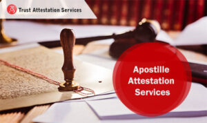 Read more about the article Apostille Attestation Services in Noida: Your Complete Guide