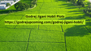 Read more about the article Godrej Plots Jigani Hobli Bangalore – Where Comfort Meets Convenience