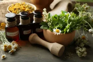 Read more about the article Exploring Natural Healing with a Naturopath Melbourne