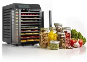 Read more about the article Innovative Recipes Made Simple with a Food Dehydrator