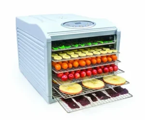 Read more about the article The Food Dehydrators: A Must-Have for Healthy Living