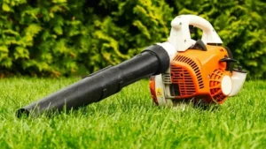 Read more about the article Honda Leaf Blowers Brisbane: Power and Reliability for Yard