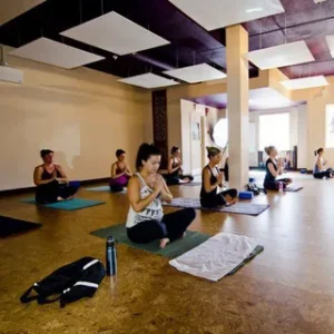 Read more about the article Transform Your Experience With Hot Yoga Infrared Panels