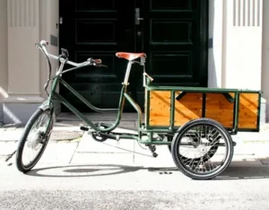 Read more about the article Electric Cargo Bike Brisbane  | Explore the City with Ease