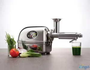 Read more about the article Angel Cold Press Juicer | High-Quality Juicing for Nutrition