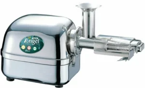 Read more about the article Maximizing Business Potential with Angel Juicer Angelia 5500