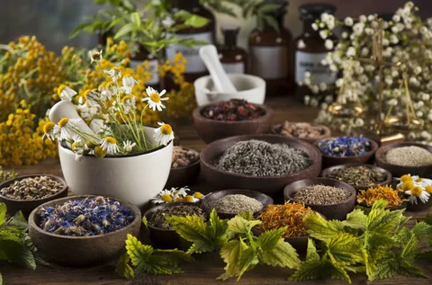 You are currently viewing Top 12 Reasons to See the Best Naturopath Melbourne