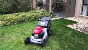 Read more about the article Push Lawn Mowers Brisbane: Essential for Gardening Lovers