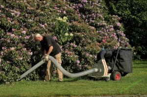 Read more about the article Efficient Garden Vacuum Brisbane – Streamline Your Cleanup