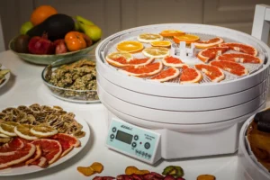 Read more about the article Elevate Food Preservation Skills – Ezidri Food Dehydrator