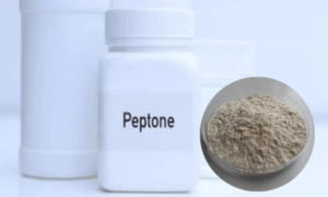 Read more about the article Peptone Market Size, Share, Demand, Forecast 2024-2032