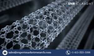 Read more about the article Carbon Nanotubes Market Outlook (2024-2032): Key Drivers, Growth Trends, and Forecast Insights