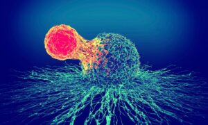 Read more about the article Cell Therapy Market Size, Share & Growth Analysis 2032