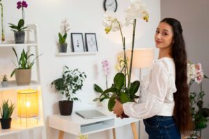 Read more about the article Elevate Your Home: Transform Your Space with Plants