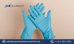 Read more about the article Nitrile Gloves Market Trends, Size, Share and Industry Reports | 2032