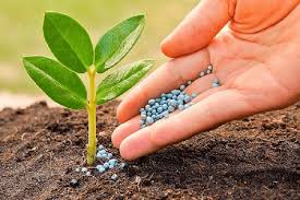 Read more about the article Specialty Fertilizers Market Size And Forecast Report 2024-2030