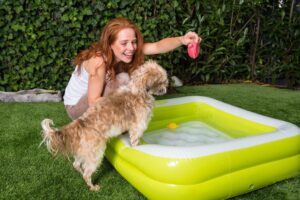 Read more about the article Splash Pad for Dogs – Entertain Pets All Summer