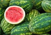 Read more about the article United States Melon Market Size And Forecast Report 2024-2030