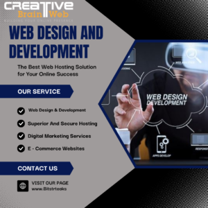 Read more about the article Creative Brain Web: Your Trusted Web Design Company in Faridabad