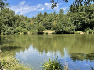 Read more about the article Top 5 Reasons to Visit Wylands Fishery This Fishing Season