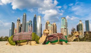 Read more about the article Your First Trip to Dubai: What You Need to Know