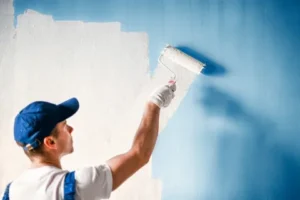 Read more about the article Hiring House Painters Northern Beaches: Ultimate Guide