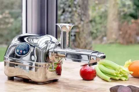 Read more about the article Angel Pro Juicer | Ultimate Twin Gear Stainless Steel Juicer