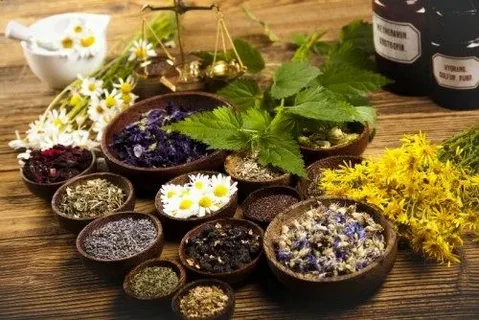 You are currently viewing Natural Healing with Herbalist Melbourne: What to Expect?