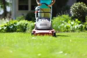 Read more about the article Why Lawn mowing trailers Is Essential For Landscaping?