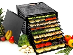 Read more about the article Excalibur Dehydrator Review: Enhance Your Culinary Creations