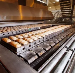 Read more about the article Enhance Your Production Line: Explore High-Quality Industrial Ovens for Efficient Cooking and Baking