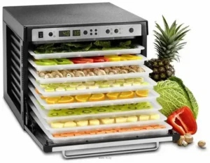 Read more about the article A Dehydrator: The Must-Have Appliance for Food Lovers