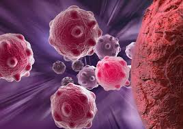 Read more about the article Cancer Cell Media Market Trends, Growth, Forecast 2032 | By Dataintelo