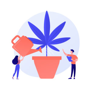 Read more about the article Grow Your Cannabis Business with Cutting-Edge SEO Strategies in 2025