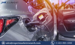 Read more about the article Electric Vehicle Charger Market Demand, Size, Growth and Forecast | 2033