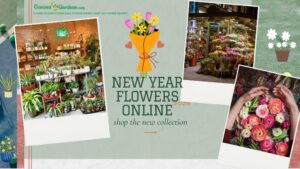 Read more about the article Make the New Year Special with Online Flower Bouquets