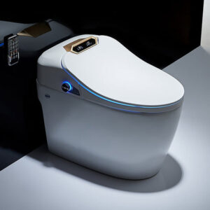 Read more about the article The Rise of the Smart Toilet: A Revolution in Bathroom Technology