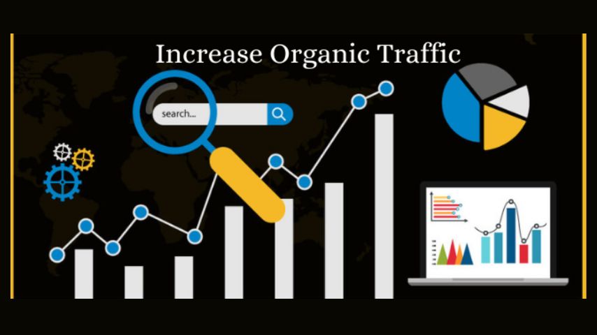 Read more about the article How to Increase Organic Traffic on Google