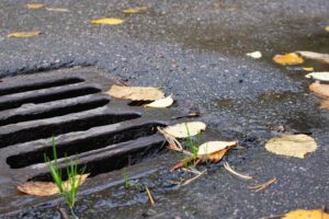 Read more about the article 5 Common Drainage Problems and How a Specialist Can Solve Them