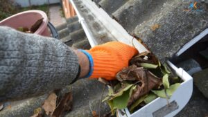 Read more about the article Avoid Water Damage: Expert Gutter Cleaning Tips for Brooklyn Residents