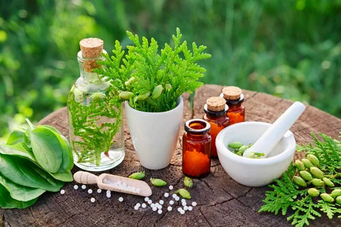 Read more about the article Herbal Medicine Melbourne – Restore Balance Naturally