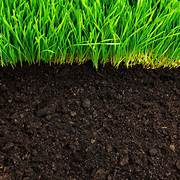 Read more about the article The Magic of a Soil Improver: Transforming Your Garden from the Roots