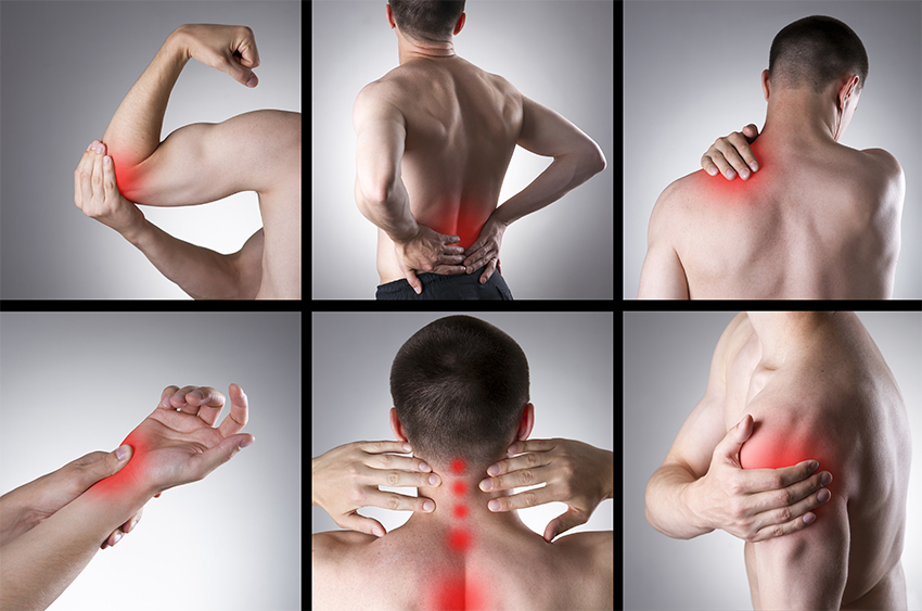 Read more about the article Lower and Upper Back Pain Facts and Remedies